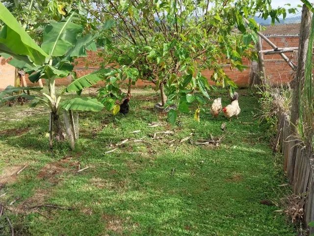 Chácara em Jacutinga - Sul de Minas Gerais - Foto 2
