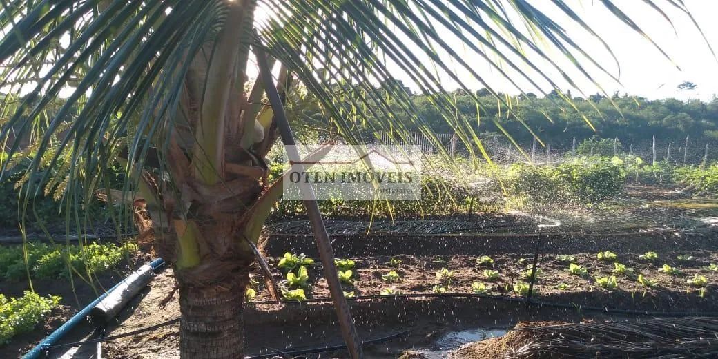 Área para Venda em Feira Nova, Aclimação - Foto 5