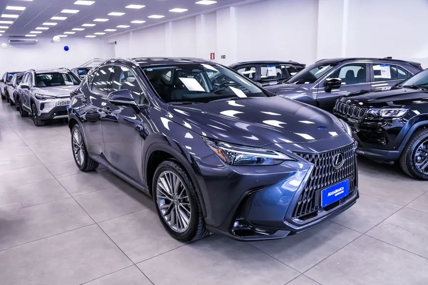 Lexus NX-350h Luxury 2.5 16V Aut. (hybrid), foto 5 de 19