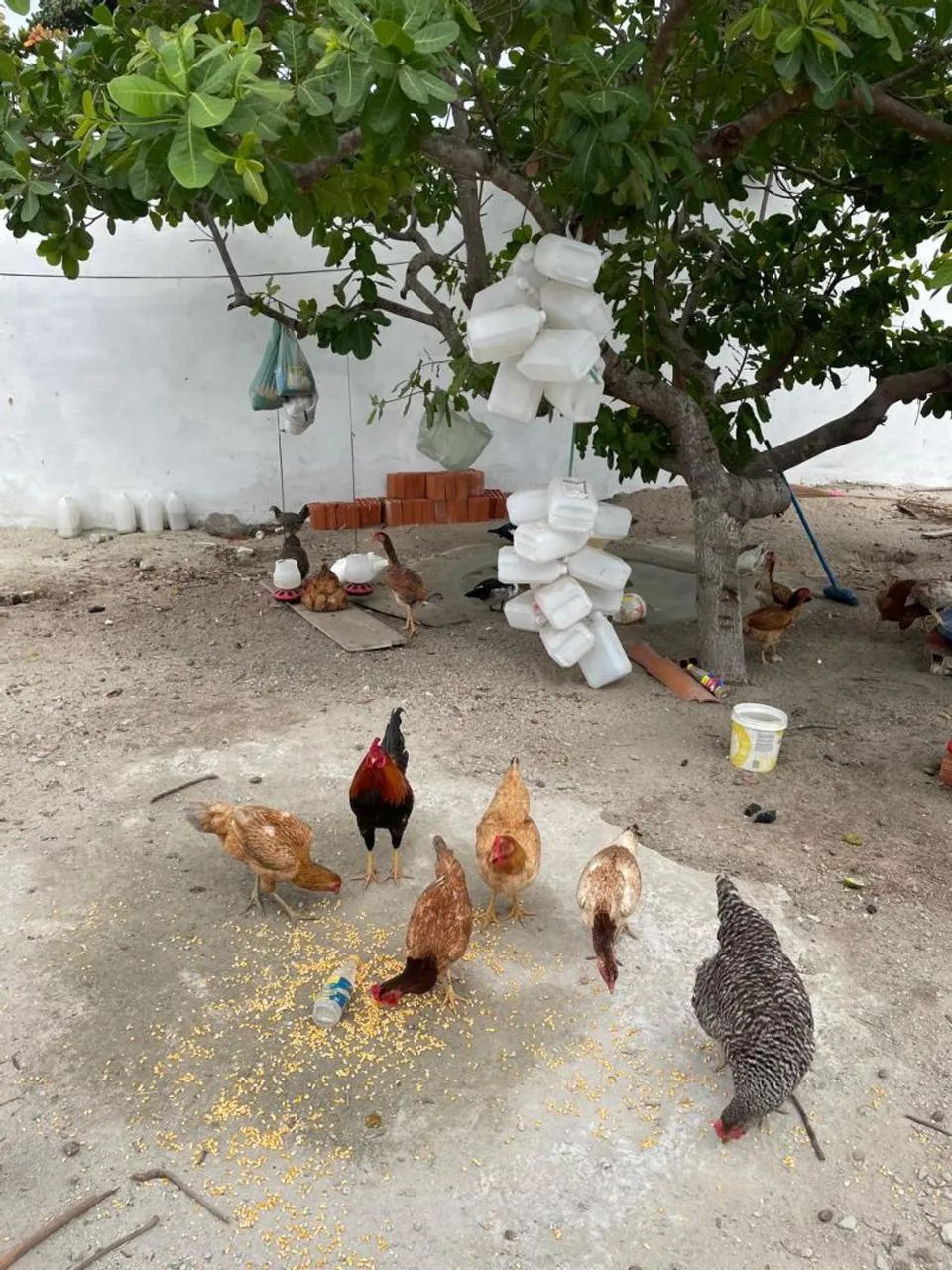 Px ao comércios  - Foto 2