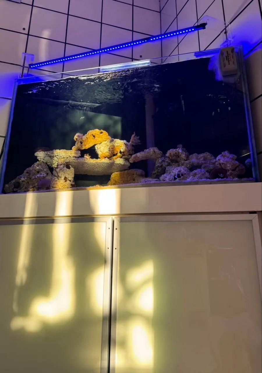 AQUÁRIO DE 492 LITROS COM SUMP- LEIA DESCRIÇÃO EM ANÚNCIO  - Foto 4