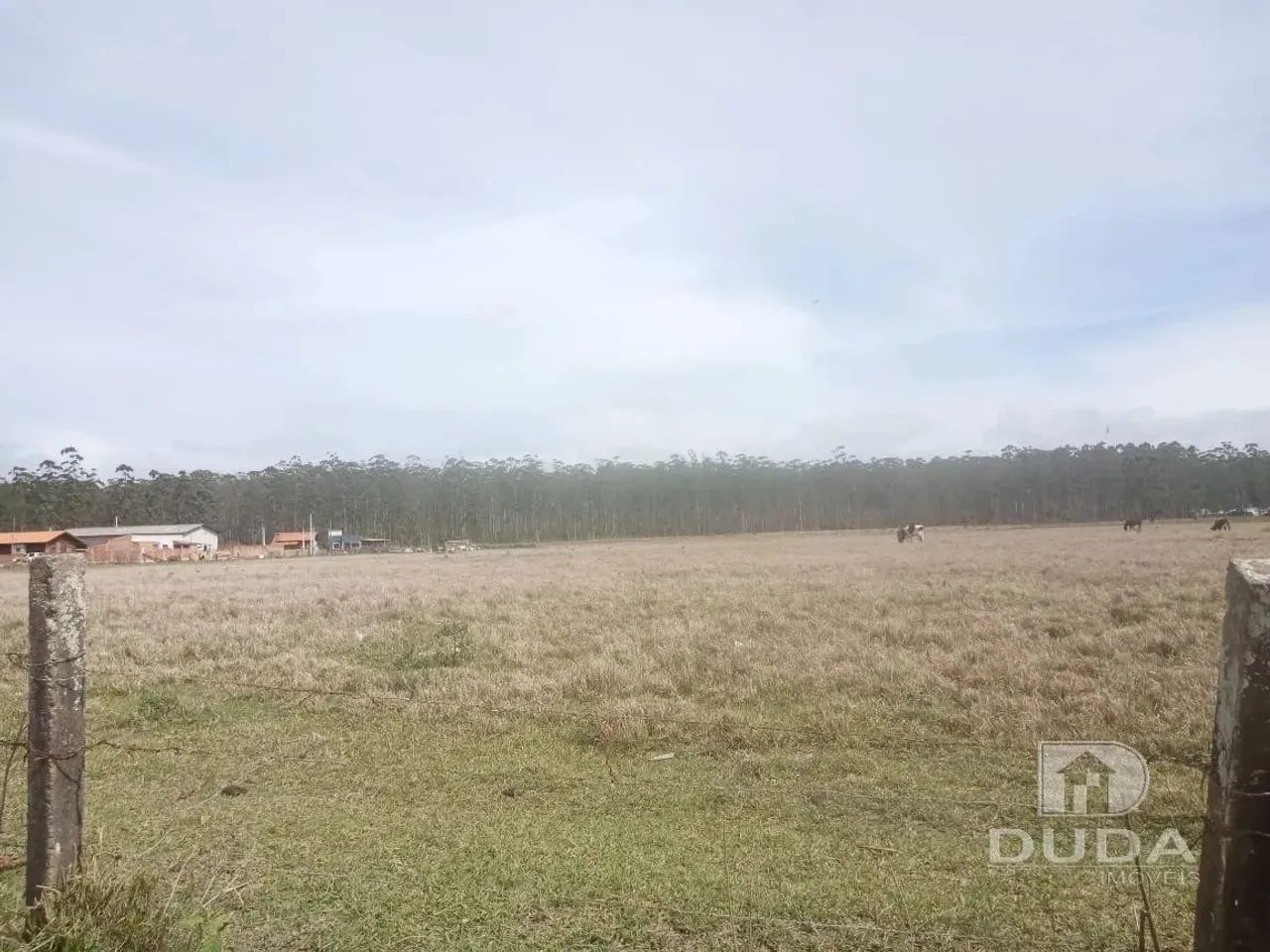 Área de 71.799m² - Foto 3