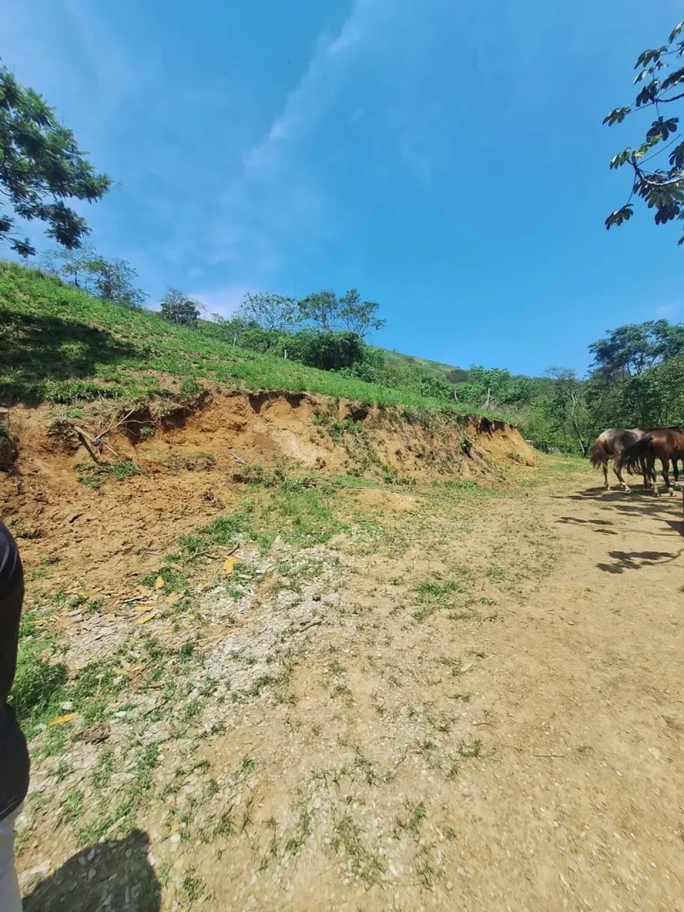 ÁREA COM 7.600 M² - Foto 5