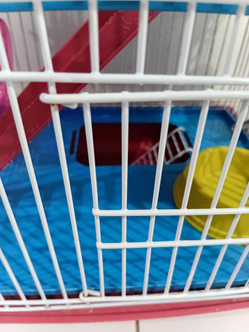Casa para Hamster - Foto 4