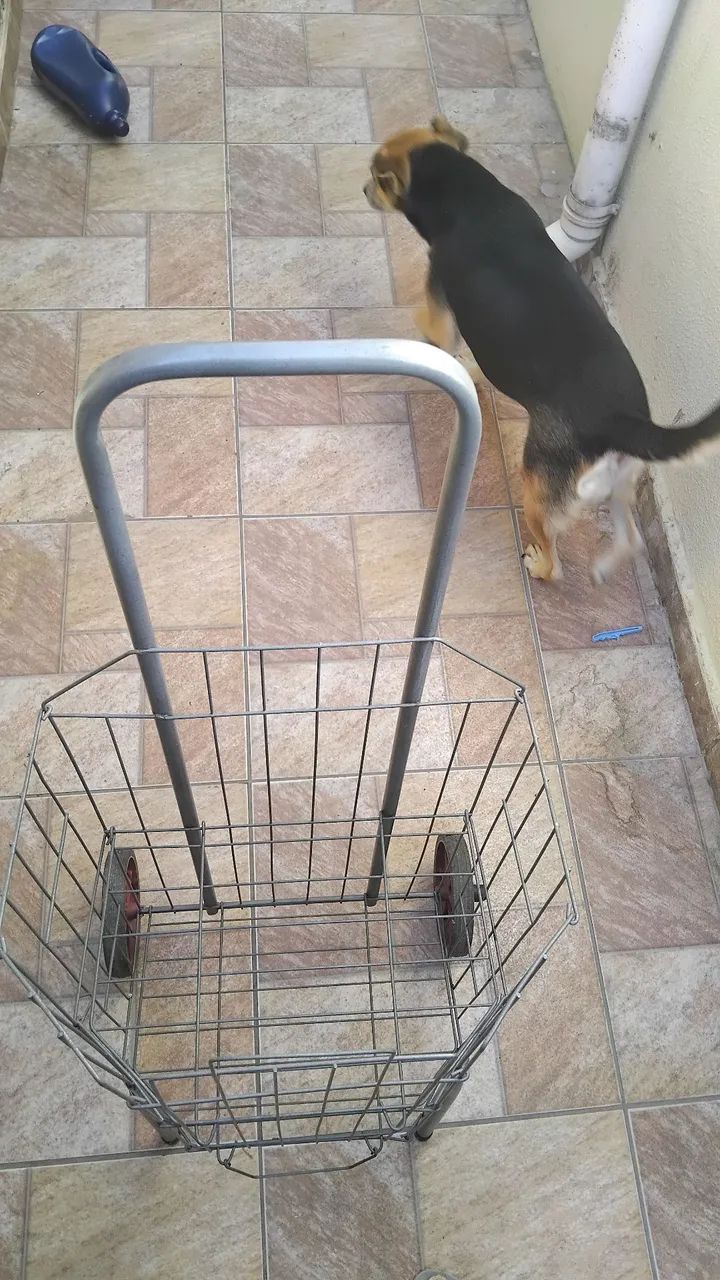 Carrinho de feira dobravel - Foto 3