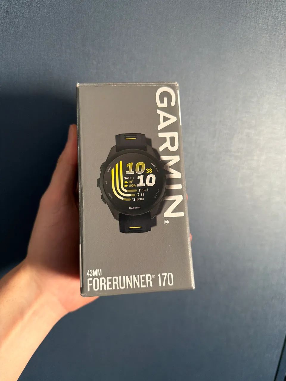 Garmin 170 original