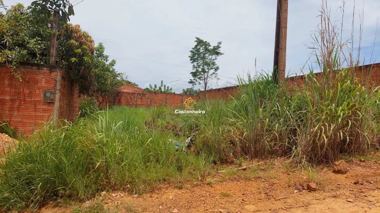 Lote - 450 m² - Plano Diretor Sul - Foto 3