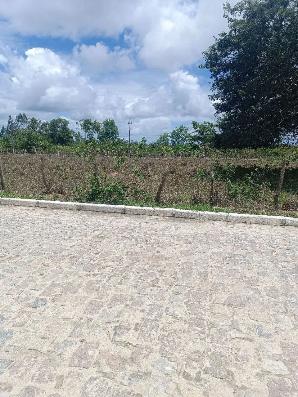 Vende-se Lotes - Foto 2