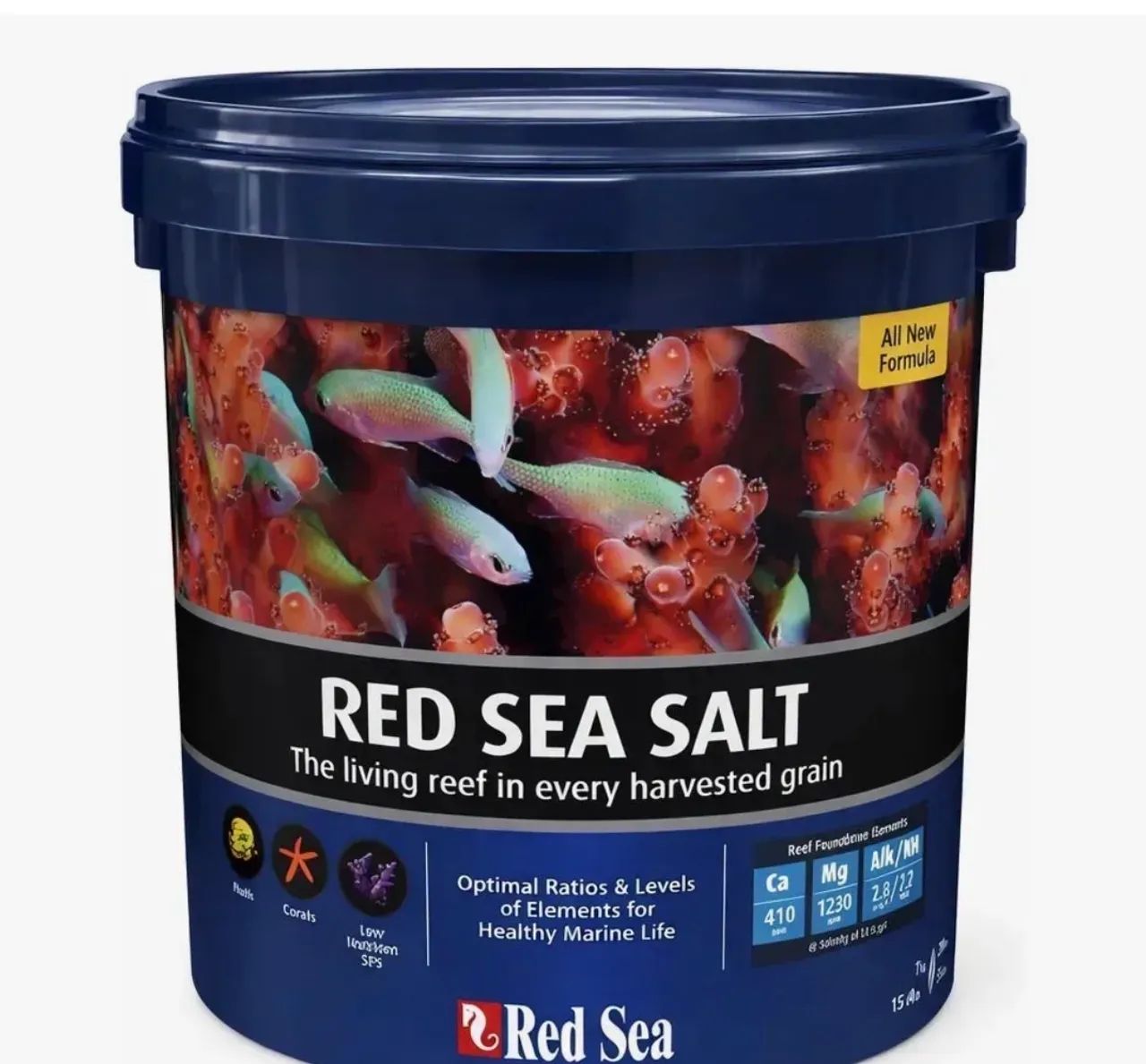 Sal redsea 