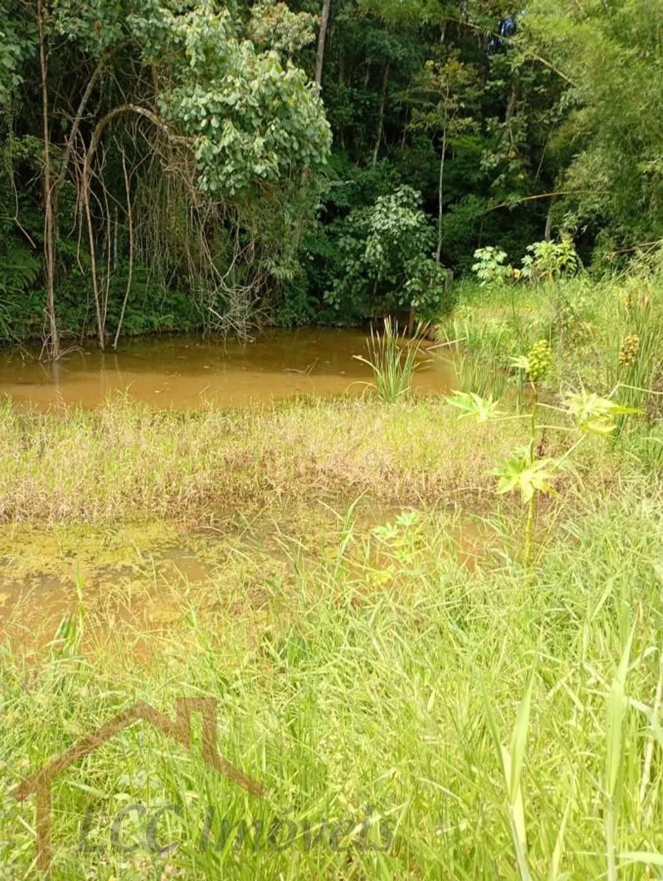 Sítio para Venda em Salesópolis - Foto 3