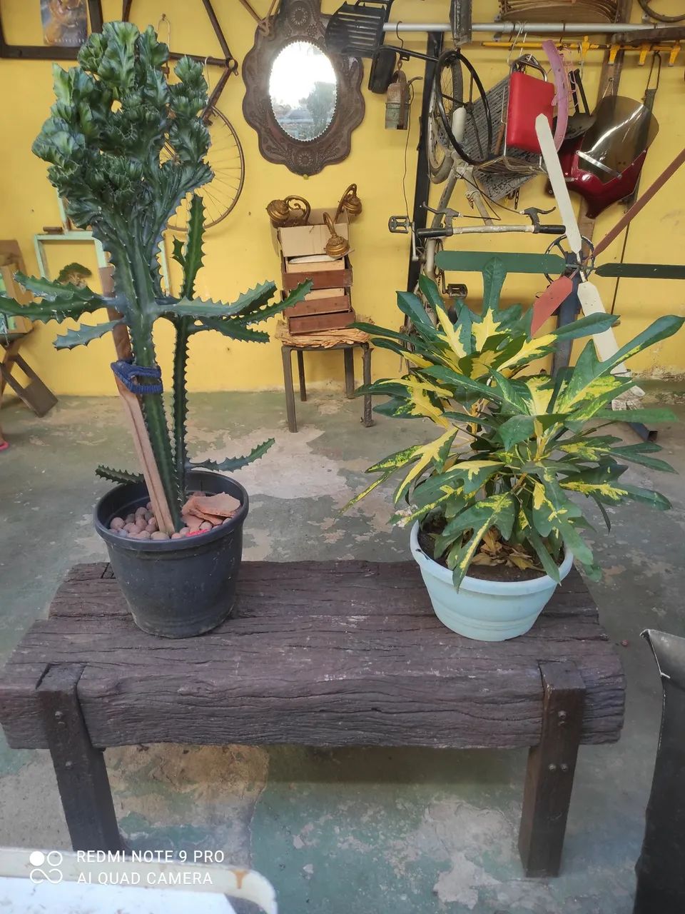 Banco para jardim,bruto : - Foto 4