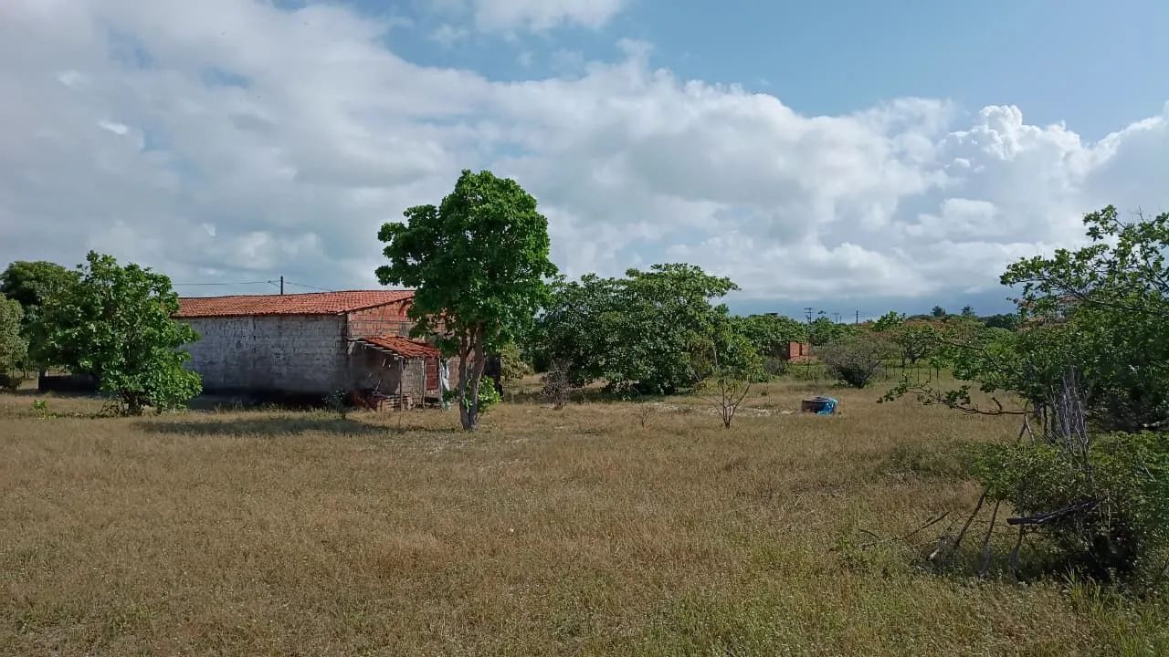 Terreno com casa - Foto 5