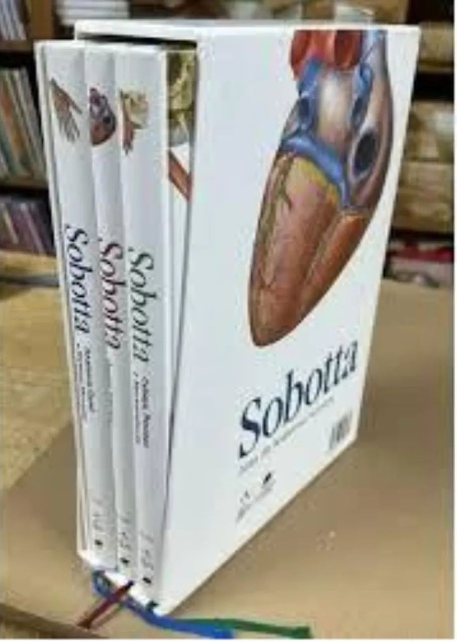 Livro Sobotta 3 volume