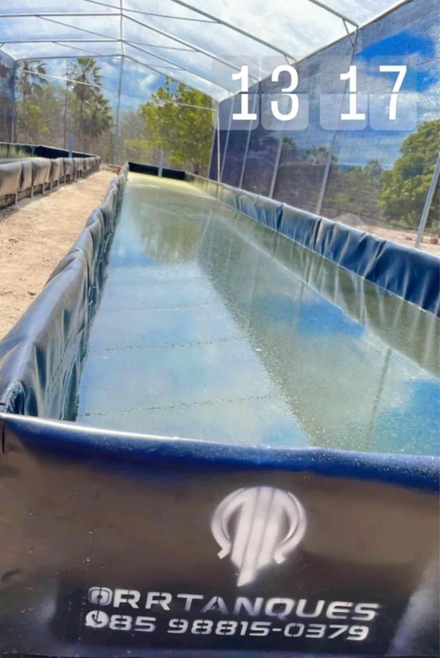 Tanque para criação de peixes e camarão  - Foto 4