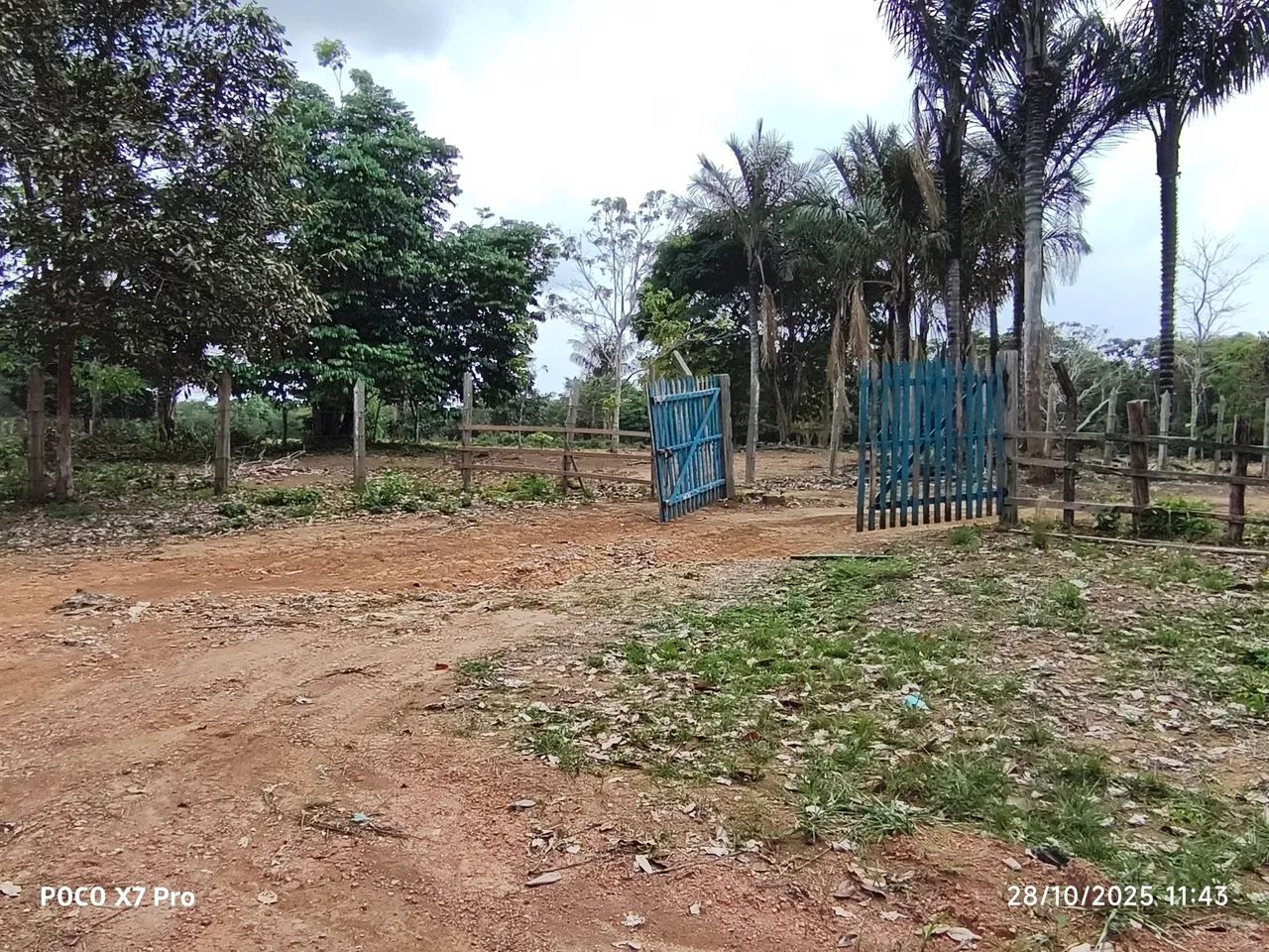 TERRENO 100M x 42M - Foto 3