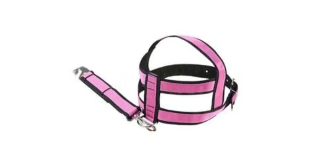 Coleira Peitoral + Guia Rosa American Pet NOVA Tamanho G