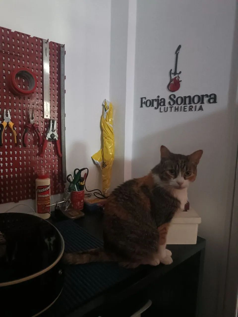 Luthieria Forja Sonora