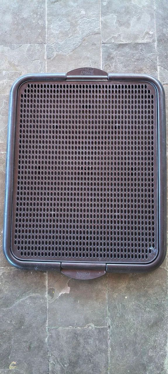 Kit de utensílios para cachorro - Foto 3