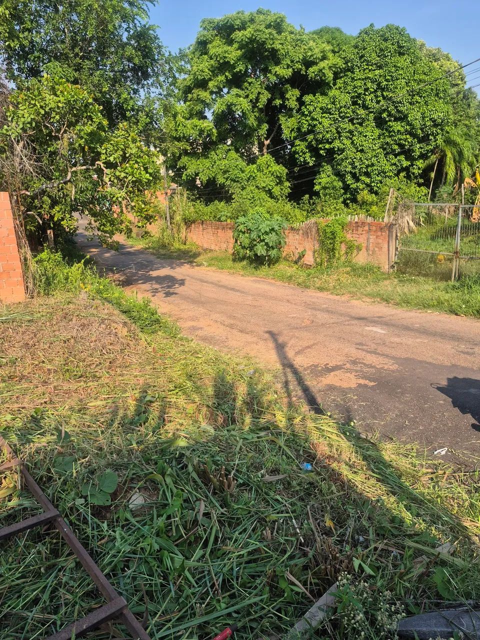 Somente venda - Foto 3