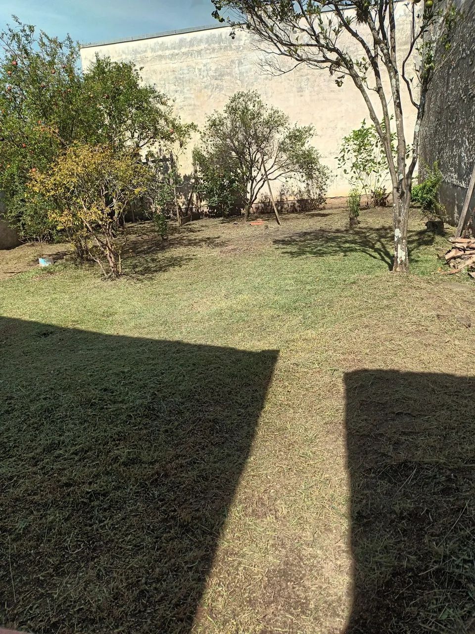 Jardineiro  - Foto 3