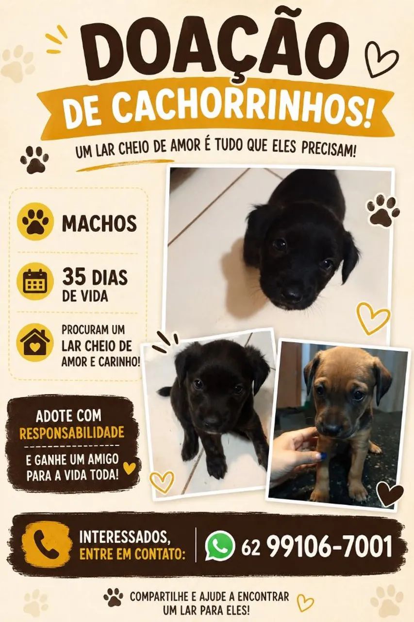 Cachorros 