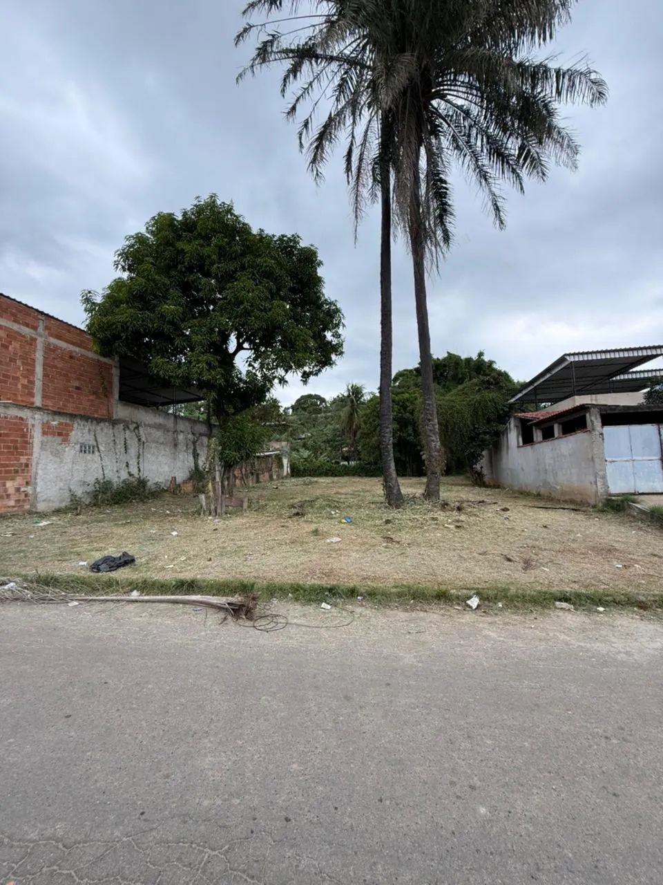 Vendo terreno em Austin  - Foto 4