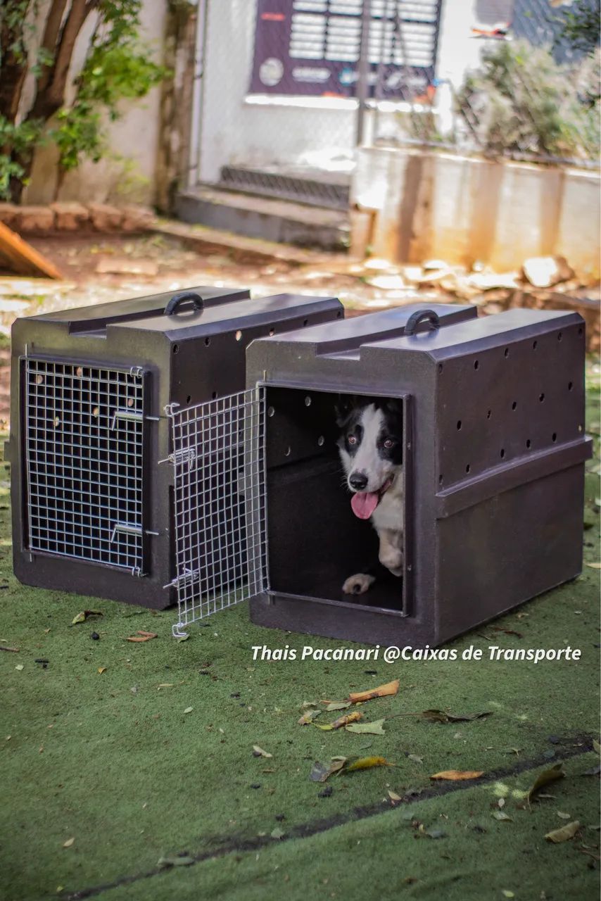 Caixa de Transporte PET - Foto 6
