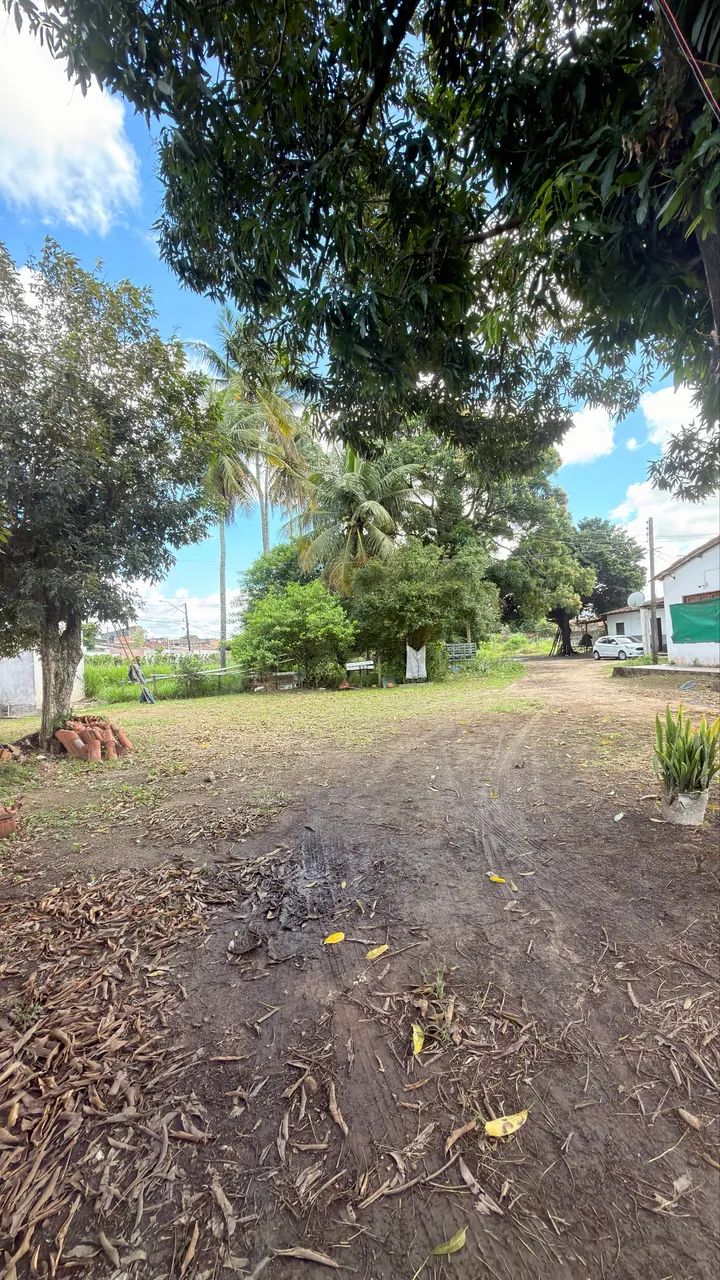 VENDO AREA PRÓX DA PARAGOMINAS ( ESQUINA )  - Foto 4