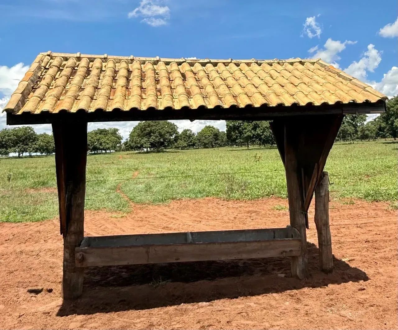 Fazenda Camapua - MS - Foto 4