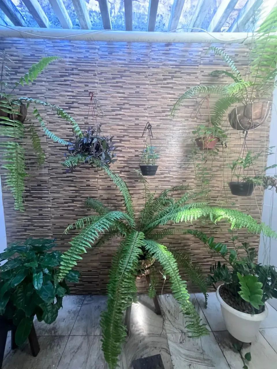 CASA COM PONTO COMERCIAL NA ATALAIA PARA LOCAÇÃO - Foto 3