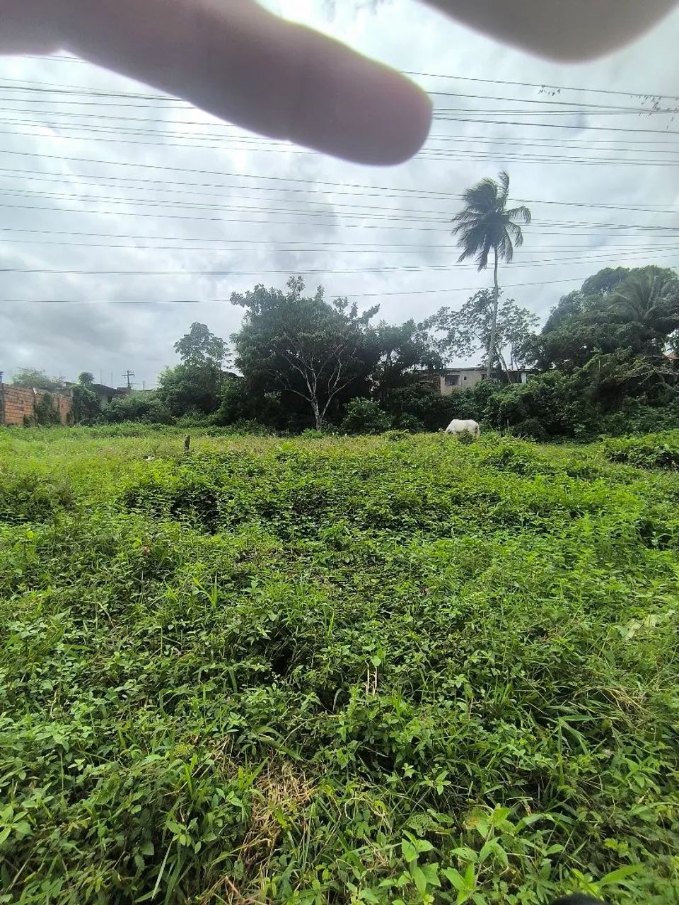 Terreno 7,5x30 MT  