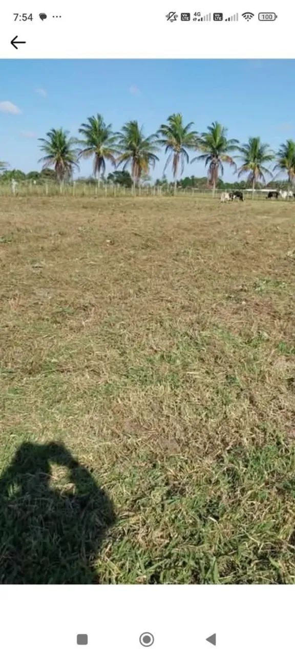 Foto - Nossa Senhora do Socorro - Mangabeira