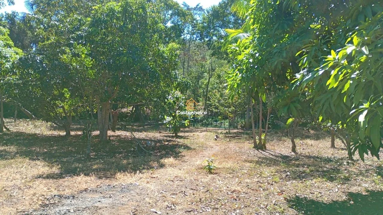 Chácara | Sítio - Curso D'água Perene - 6,25 hectares - Serra do Lajeado - Foto 4