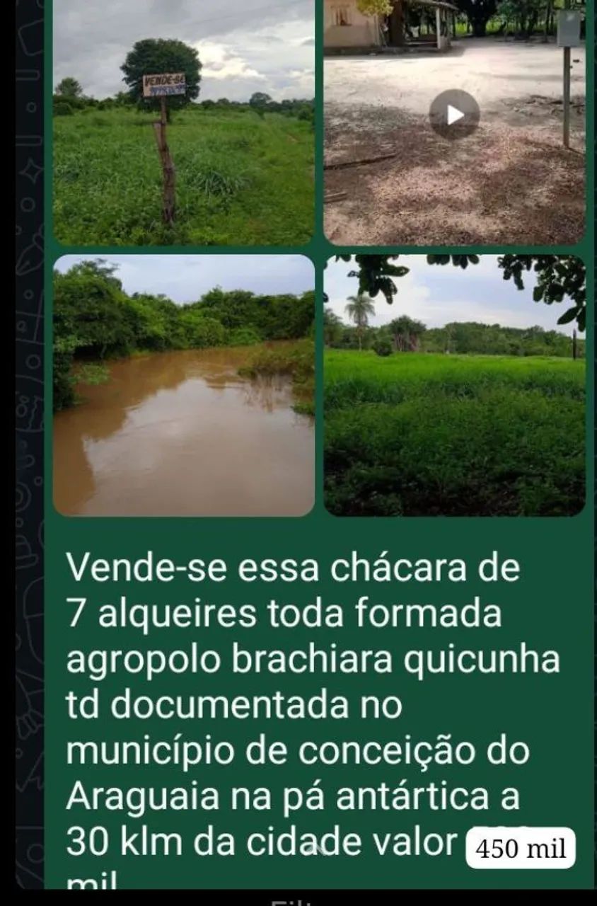 Chacara - Foto 5