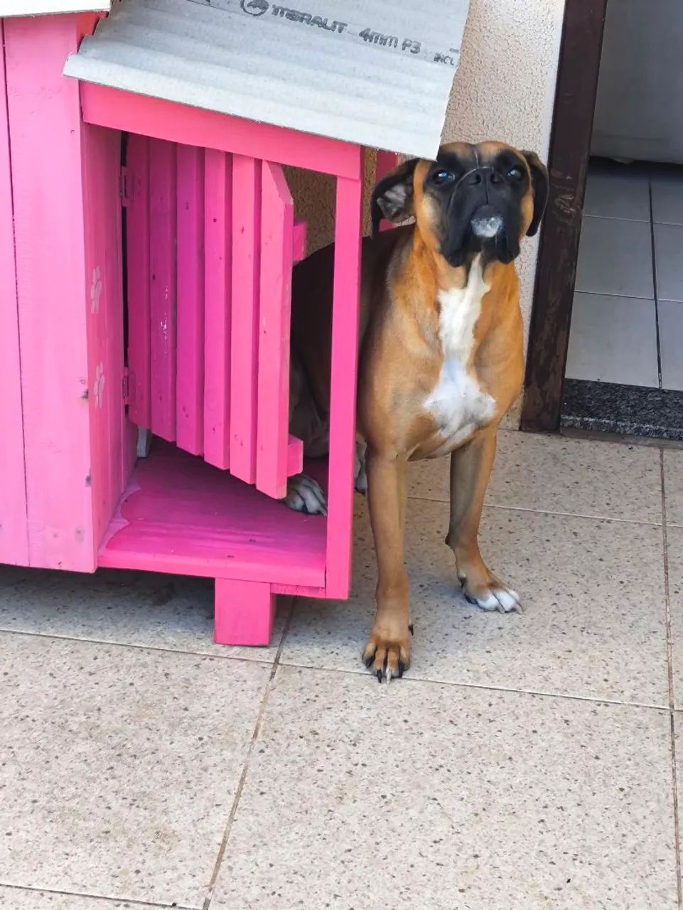 Doação  - Foto 2