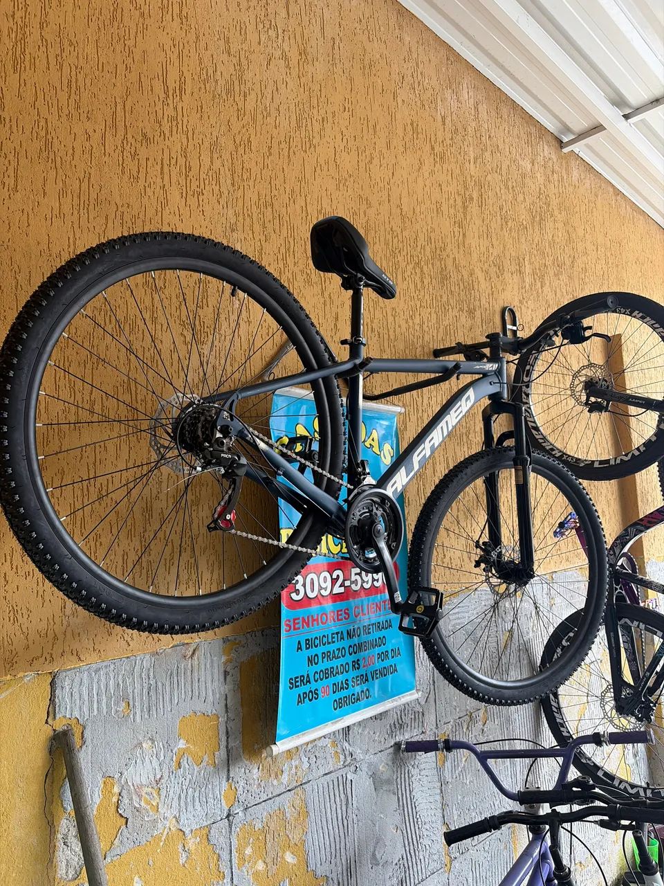 Bicicleta 29