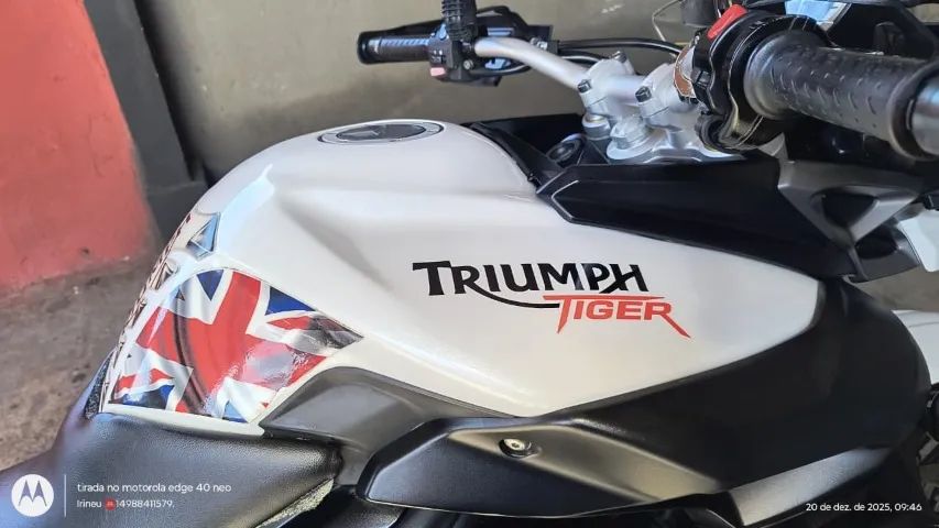 Tiger  800 Ano 2015 - Foto 4