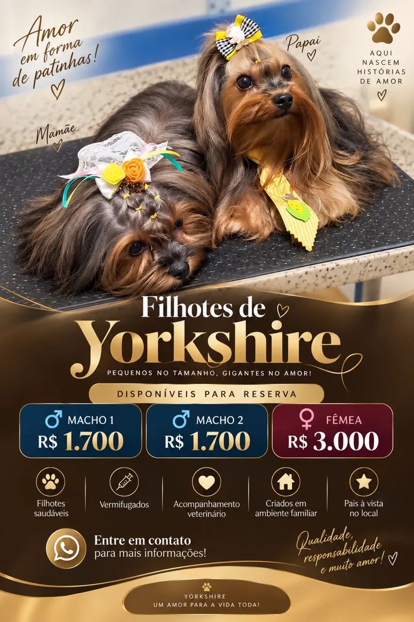 Yorkshire 