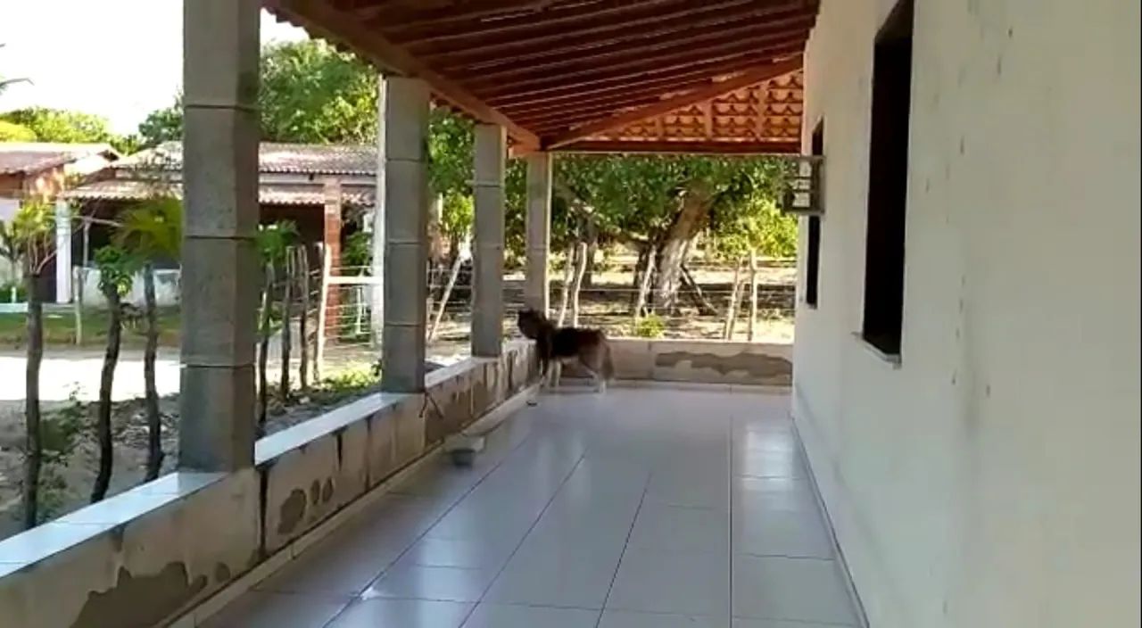 Chácara a venda no Trairí - Foto 3