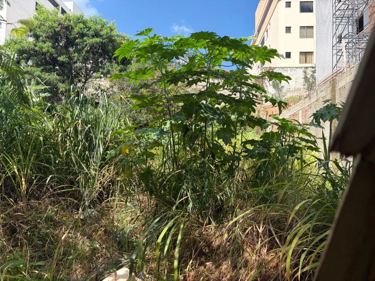 Lote a venda no Bairro Castelo - Foto 2