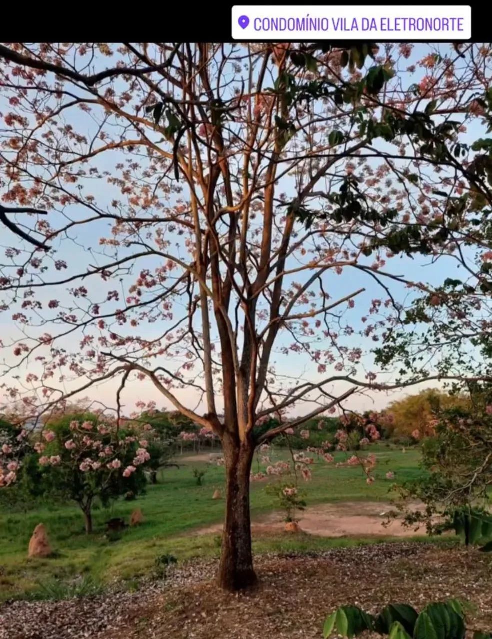 Casa em vila da eletronorte 