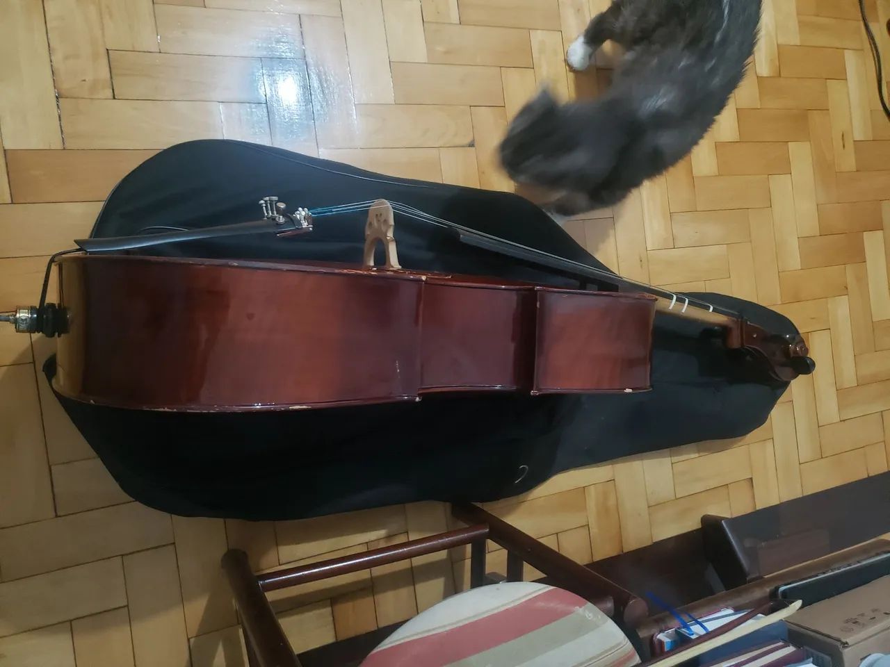 Violoncelo 4/4 adulto "Cecilia" - Foto 6