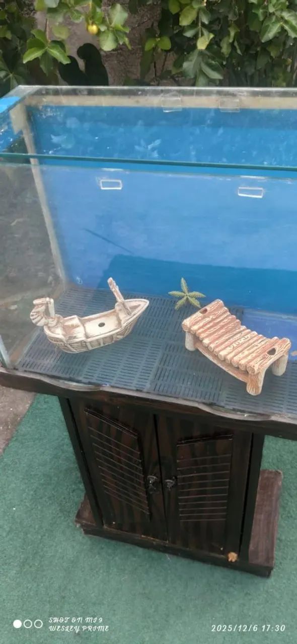 Aquário com suporte  - Foto 2