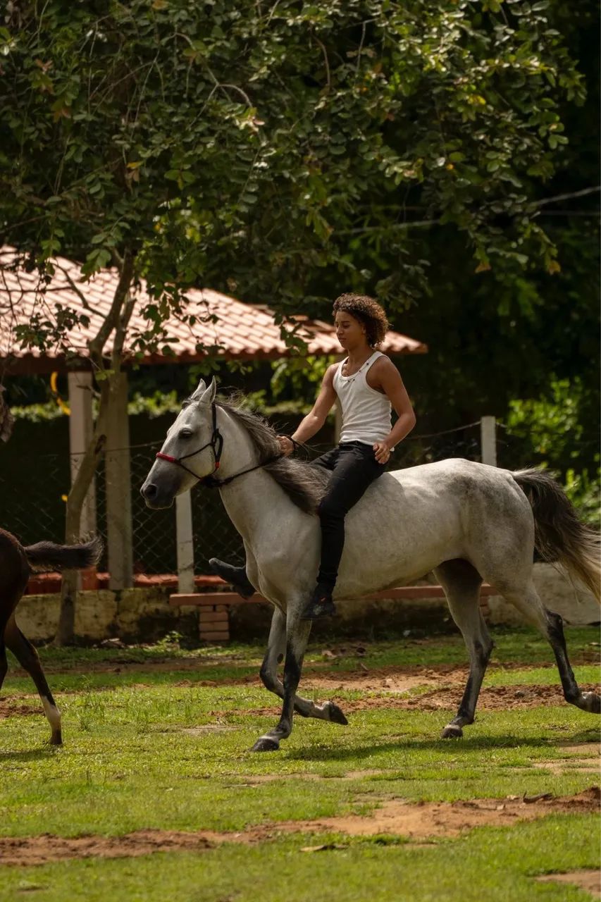 Égua mangalarga com potra  - Foto 4