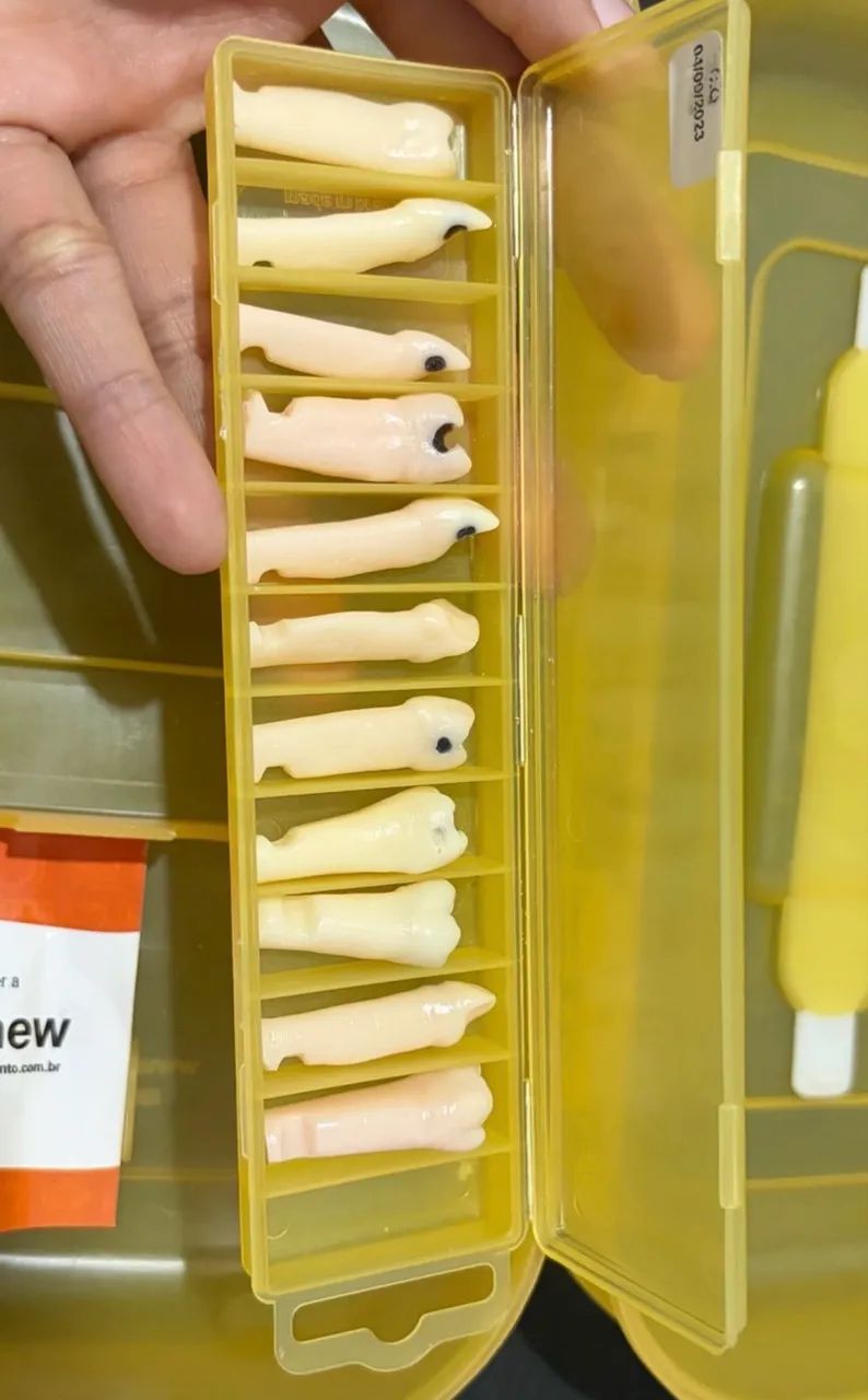 Manequim Periodontia - Pronew - Foto 4