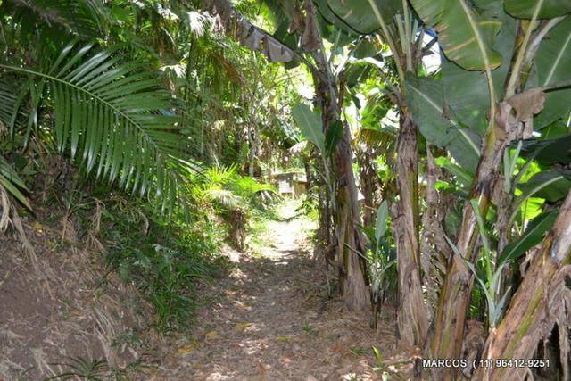 Chácara com 10.000 m² em Mogi das Cruzes - Foto 17