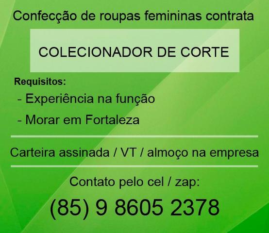 Vaga para colecionador de corte