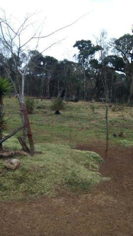 Fazenda plana - Foto 4