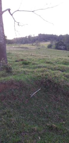 Sitio de 9.7 alk pra pasto vendo - Foto 3