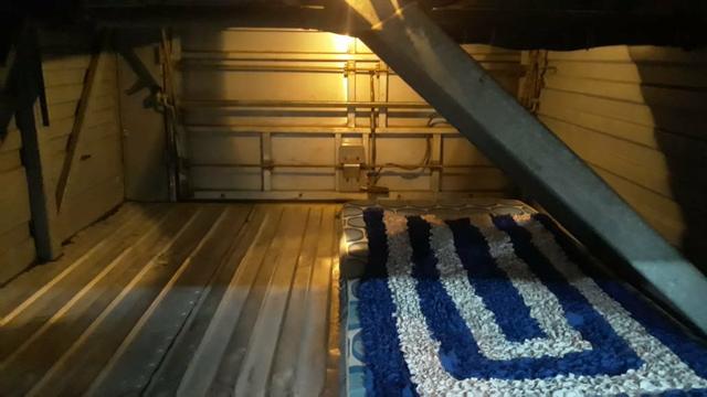 Onibus - Foto 11